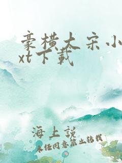 豪横大宋小说txt下载