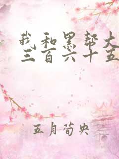 我和黑帮大佬的三百六十五天第三部