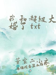 我和超级大佬隐婚了 txt