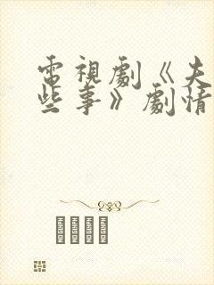 电视剧《夫妻那些事》剧情