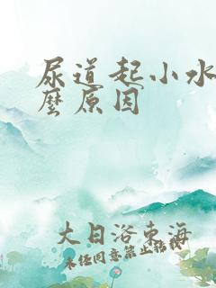 尿道起小水泡什么原因