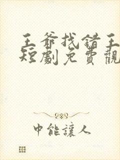 王爷找错王妃了短剧免费观看