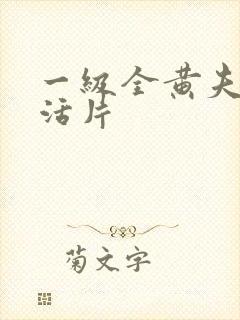 一级全黄夫妻生活片