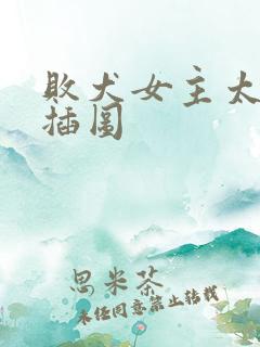 败犬女主太多了插图