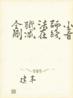 全职法师小说未删减在线看