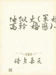 他似火(军婚 高干 婚恋)小说