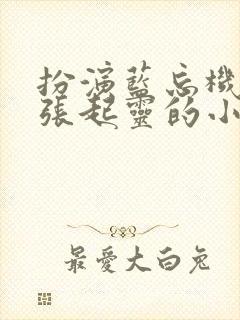 扮演蓝忘机队友张起灵的小说