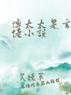 傅太太是玄学大佬小说