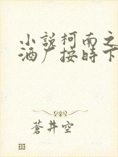 小说柯南之人在酒厂按时下班txt下载