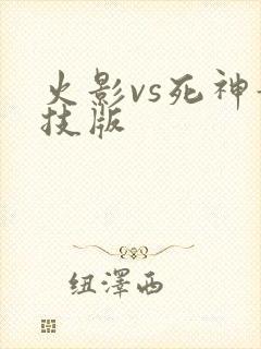 火影vs死神竞技版