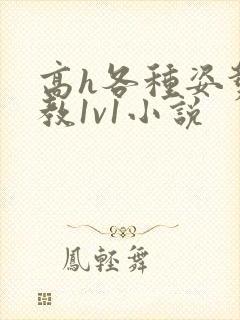 高h各种姿势调教1v1小说