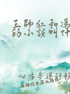 王帅红和冯改朵的小说叫什么名字