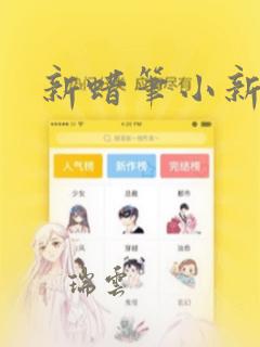 新蜡笔小新