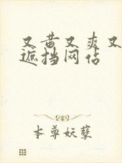 又黄又爽又色无遮挡网站