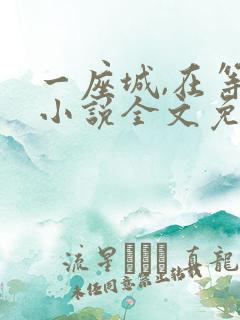 一座城,在等你小说全文免费阅读