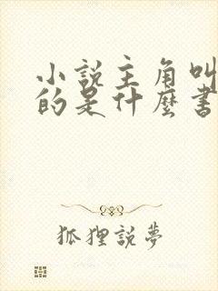 小说主角叫林天的是什么书