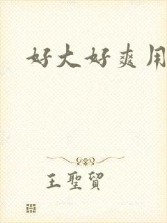 好大好爽用力插