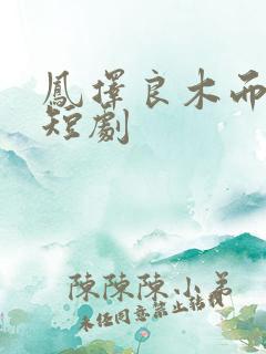 凤择良木而栖 短剧