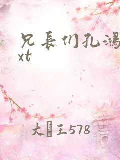 兄长们孔鸿浩txt