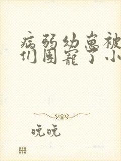 病弱幼崽被反派们团宠了小说