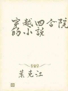 穿越四合院蔡清的小说