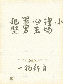 犯罪心理小说是双男主吗