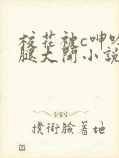 校花被c呻吟双腿大开小说