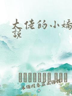 大佬的小娇夫小说