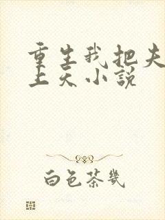 重生我把夫君宠上天小说