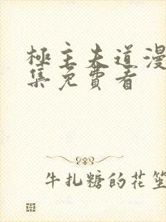 极主夫道漫画全集免费看