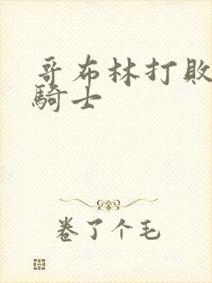 哥布林打败女圣骑士