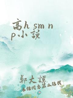 高h sm np小说