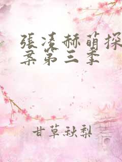 张凌赫萌探探探案第三季
