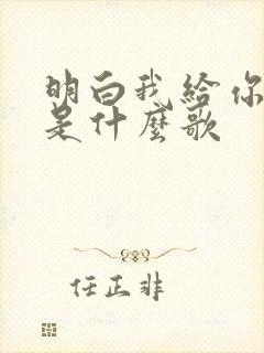 明白我给你的爱是什么歌