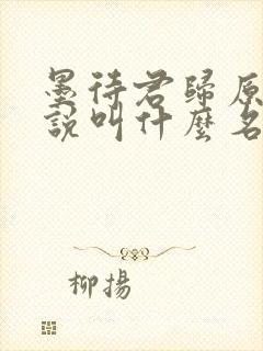 墨待君归原著小说叫什么名字