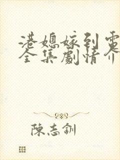 港媳嫁到电视剧全集剧情介绍