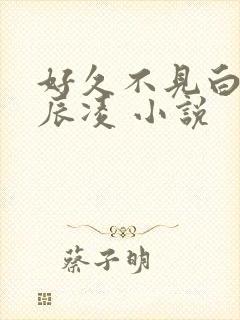 好久不见白汐纪辰凌 小说