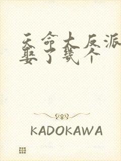 天命大反派结局娶了几个