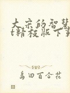 大宋的智慧txt精校版下载