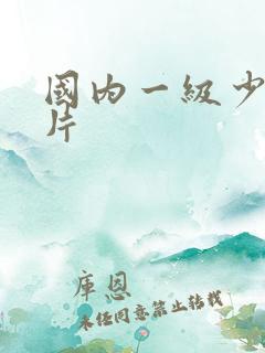 国内一级少妇淫片