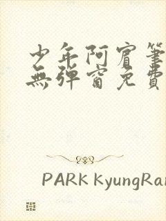 少年阿宾笔趣阁无弹窗免费