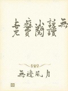 上瘾小说无删减免费阅读