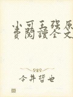 小可王强原文免费阅读全文