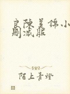 良陈美锦小说无删减版