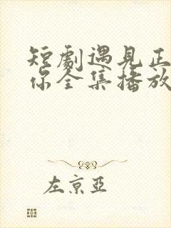 短剧遇见正确的你全集播放