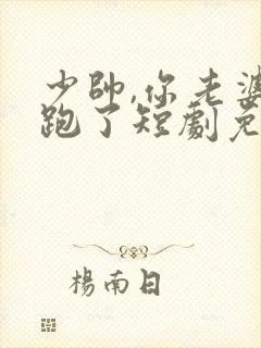 少帅,你老婆又跑了短剧免费大结局