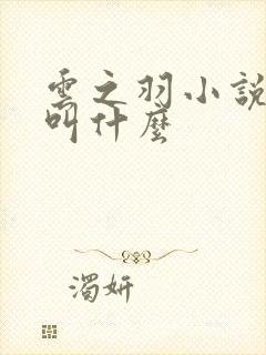 云之羽小说原著叫什么