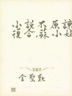 小说不原谅,不复合,苏小姐独美全文