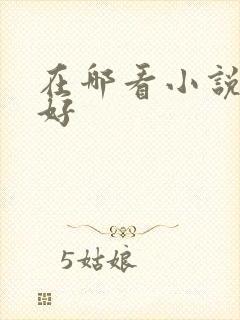 在哪看小说比较好