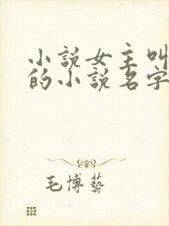 小说女主叫南晚的小说名字